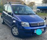 Fiat 1.2 8V Dynamic Klima - Fiat Panda Gebrauchtwagen in Münster