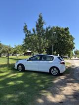 Peugeot 308 1.5 BlueHDi / 67.500 km / Neuer TÜV - Peugeot 308 P5