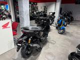Honda ADV350 2025 Black *Tageszulassung 07-26* - Angebote