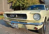 Ford Mustang V8 Coupe 1966 - Ford Gebrauchtwagen von 1966