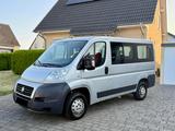 Fiat Ducato 9Sitzer 116Multijet Passanger  - Fiat Ducato: 9 Sitzer