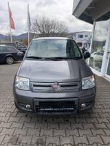 Fiat Panda # Allrad, Tüv Neu, Inspektion Neu # - Fiat Panda: Pickup