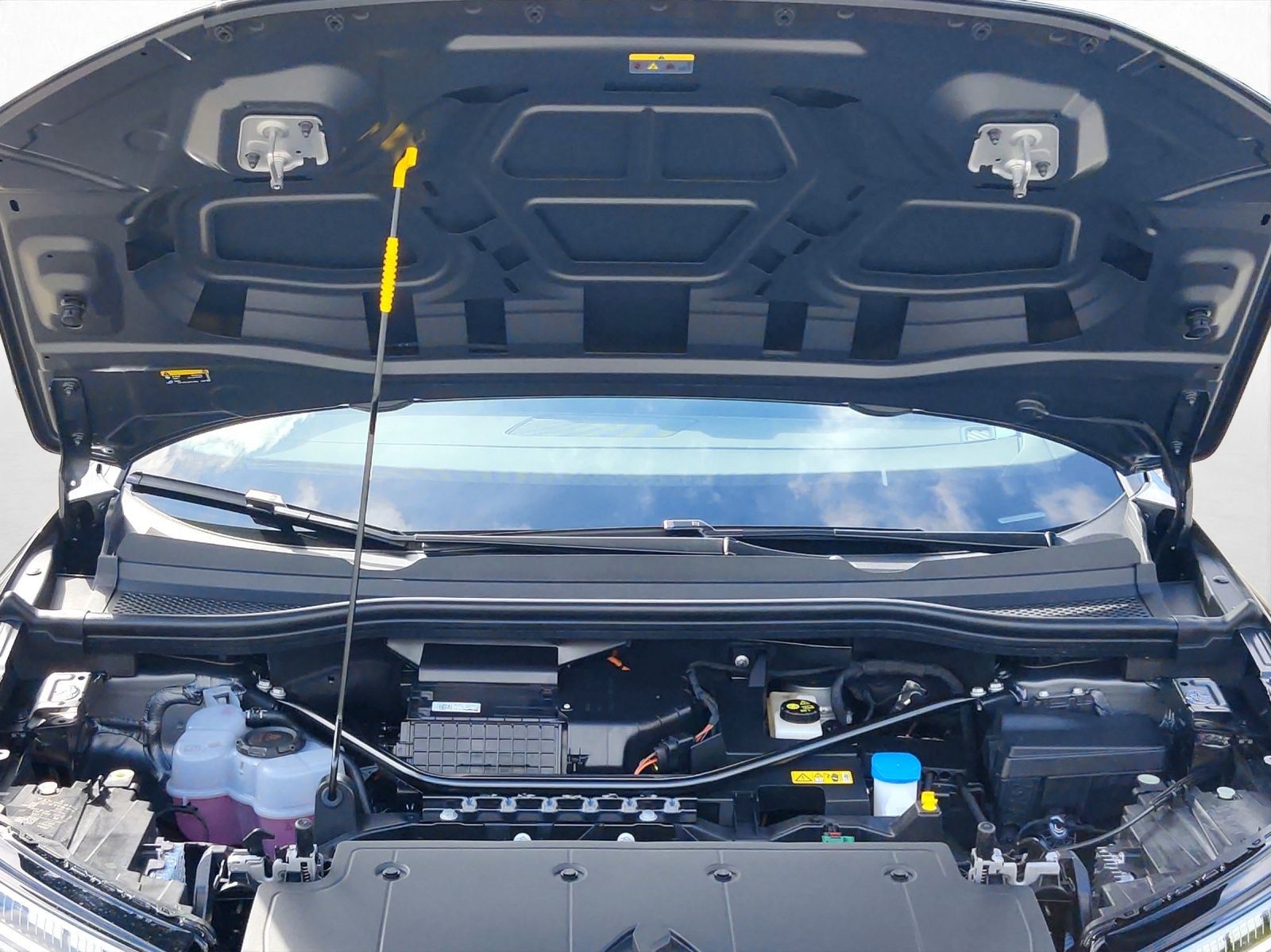 Audi Q4 e-tron - Bild 19