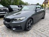 BMW 218i Cabrio M-Sport Automatik Navi Professional