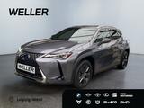 Lexus UX 250h Launch Edition *Bi-LED*ACC*CAM*SHZ*Navi* - Lexus UX: Automatik