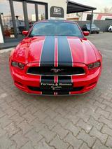 Ford Mustang 3.7 V6 Cabrio - Ford Mustang: Cabrio, V6