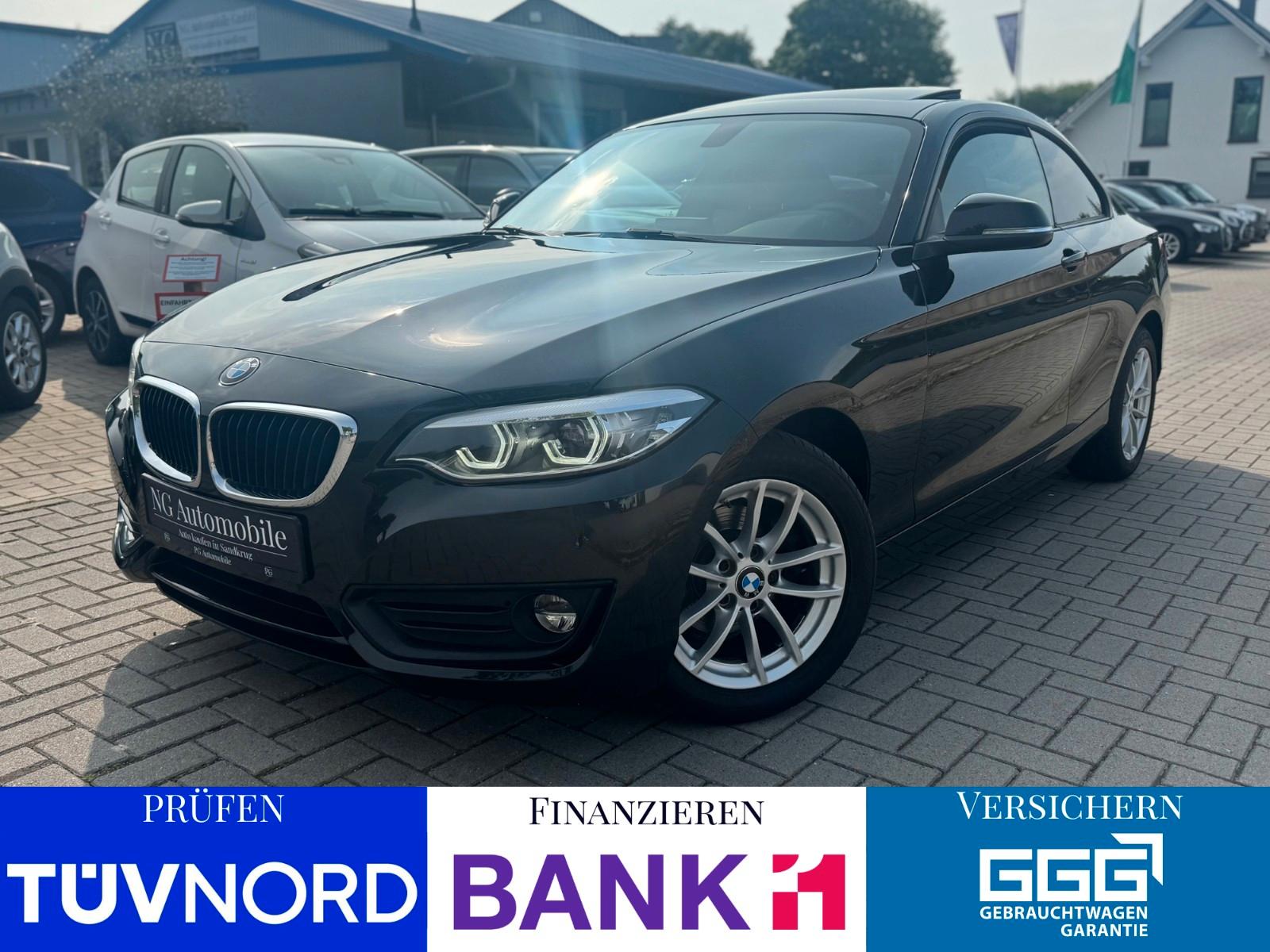 BMW 218i Coupe Auto. *Cam*Vollleder*Schiebedach*Navi