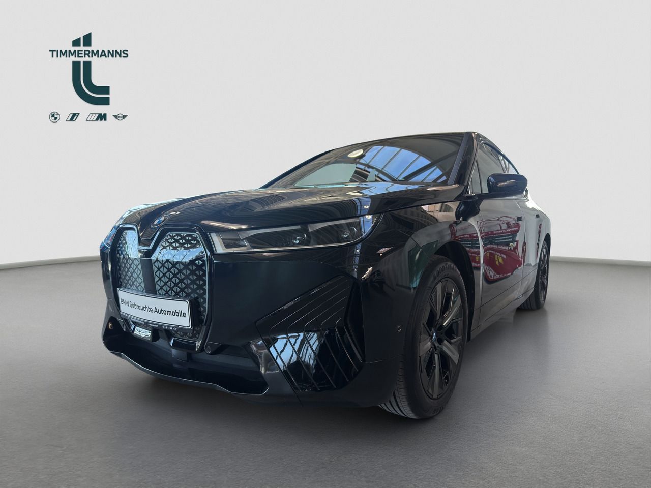 BMW iX xDrive50 Pano Laser H&amp;K AHK ParkAssProf