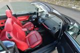 Volkswagen Beetle Sondermodell Edition Dark Flint 250 Stück - Volkswagen Beetle aus 2005