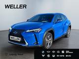 Lexus UX 300e *360°*Pano*HUD*Leder*CarPlay*SHZ*PDC*ACC
