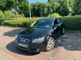Audi A3 1.6 FSİ NEU TÜV 06/2027 - Audi A3: 06