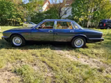 Jaguar XJ40, seltener Schaltwagen, nur 56.000 km - Jaguar aus 1991