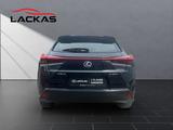 Lexus UX 250h*LAUNCH*SHZ*CD*NAVI* 15J-GARANTIE* - Lexus UX aus 2019