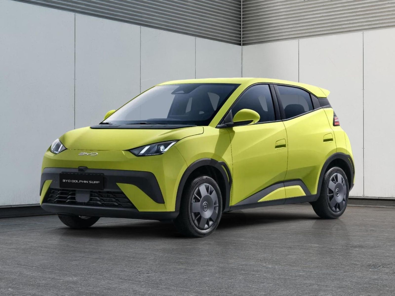 BYD DOLPHIN SURF