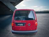 Volkswagen Caddy Kasten 2.0 l TDI EU6 75 kW 5-Gang - Tier-/Pferdetransport 7 5 t