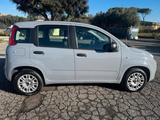 Fiat Panda 1.2 Easy s&s 69cv my19 PREZZO REALE - Fiat Panda Cabrio Gebrauchtwagen