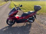 Honda PCX 125 - HONDA ROLLER 125 PCX