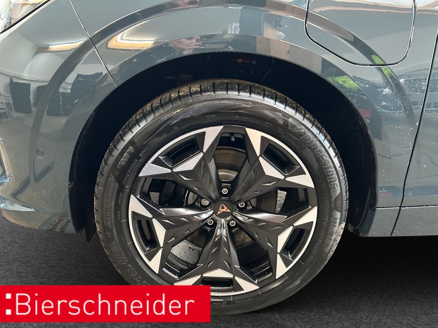 Cupra Terramar - Bild 9