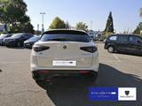 Alfa Romeo Stelvio 2.0 Turbo 16V Veloce Q 4 (EURO 6e) - Alfa Romeo Gebrauchtwagen in Mannheim