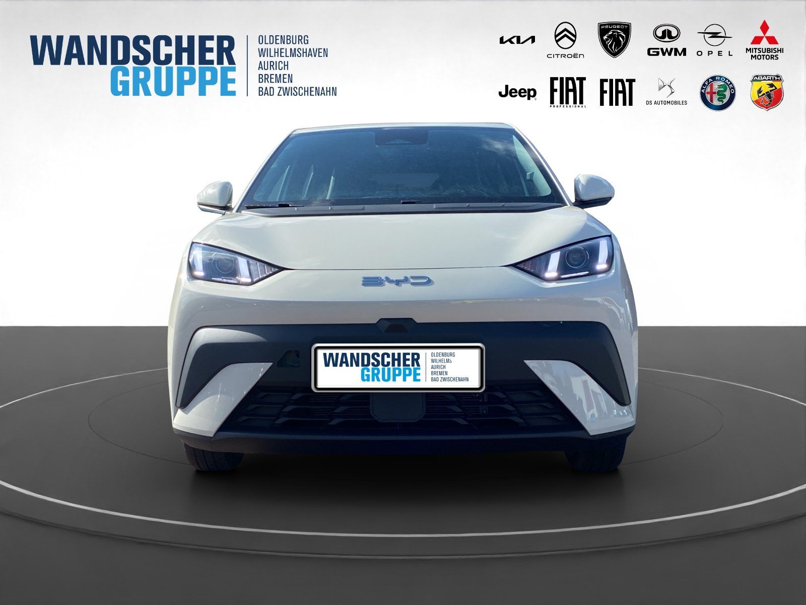 BYD DOLPHIN SURF