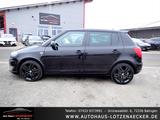 Skoda Fabia Monte Carlo 1.6 TDI KLIMA|SHZ|8-fach|TEMP - Skoda Fabia: 1.6