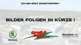 Volkswagen Golf VII Variant R 2.0 TSI DSG 4Motion PANO ACC - Volkswagen Golf mit Benzin-Antrieb: Kombi, Automatik