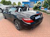 Mercedes-Benz SLK 250 Roadster BE AMG Paket - Mercedes-Benz SLK 250: Cabrio