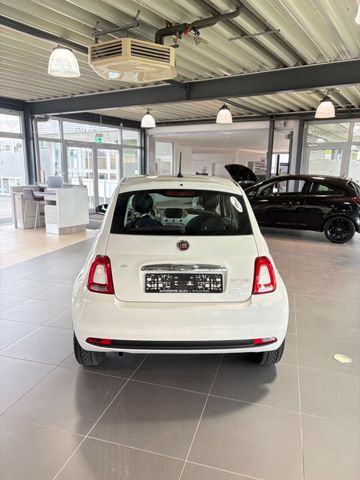 FIAT 500 Club Wenig - Bild 5