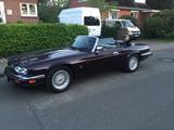 Jaguar XJS 6.0 Cabrio  original 77100 km Dt.Fahrzeug H - Jaguar aus 1993
