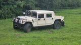 Hummer H1 Zivilversion mit Überrollkäfig und Sportsitze