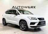 Cupra Ateca Basis 4Drive*PANO*KAMERA*BEATS*AHK* - Cupra Gebrauchtwagen in Wuppertal