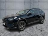 Toyota RAV4 2.5l Hybrid Team D LED+NAV+RSA - Toyota RAV 4: L