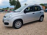 Fiat Panda Easy - gebrauchte Fiat Panda aus dem Jahr 2016