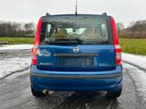Fiat Panda 1.2 8V Dynamic Panoramadach - gebrauchte Fiat Panda aus dem Jahr 2004