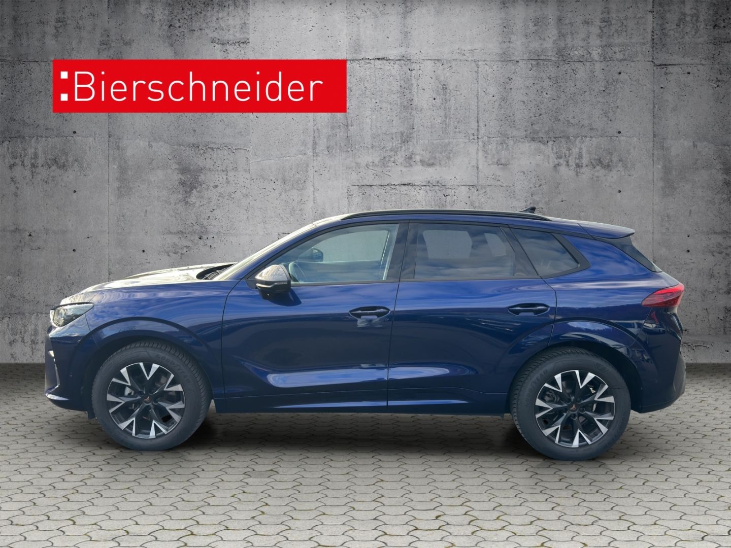 Cupra Terramar - Bild 3