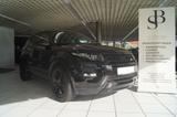 Land Rover Range Rover Evoque Dynamic ACC/PANO/KAM/DAB/19" - Land Rover Range Rover Evoque in Bielefeld