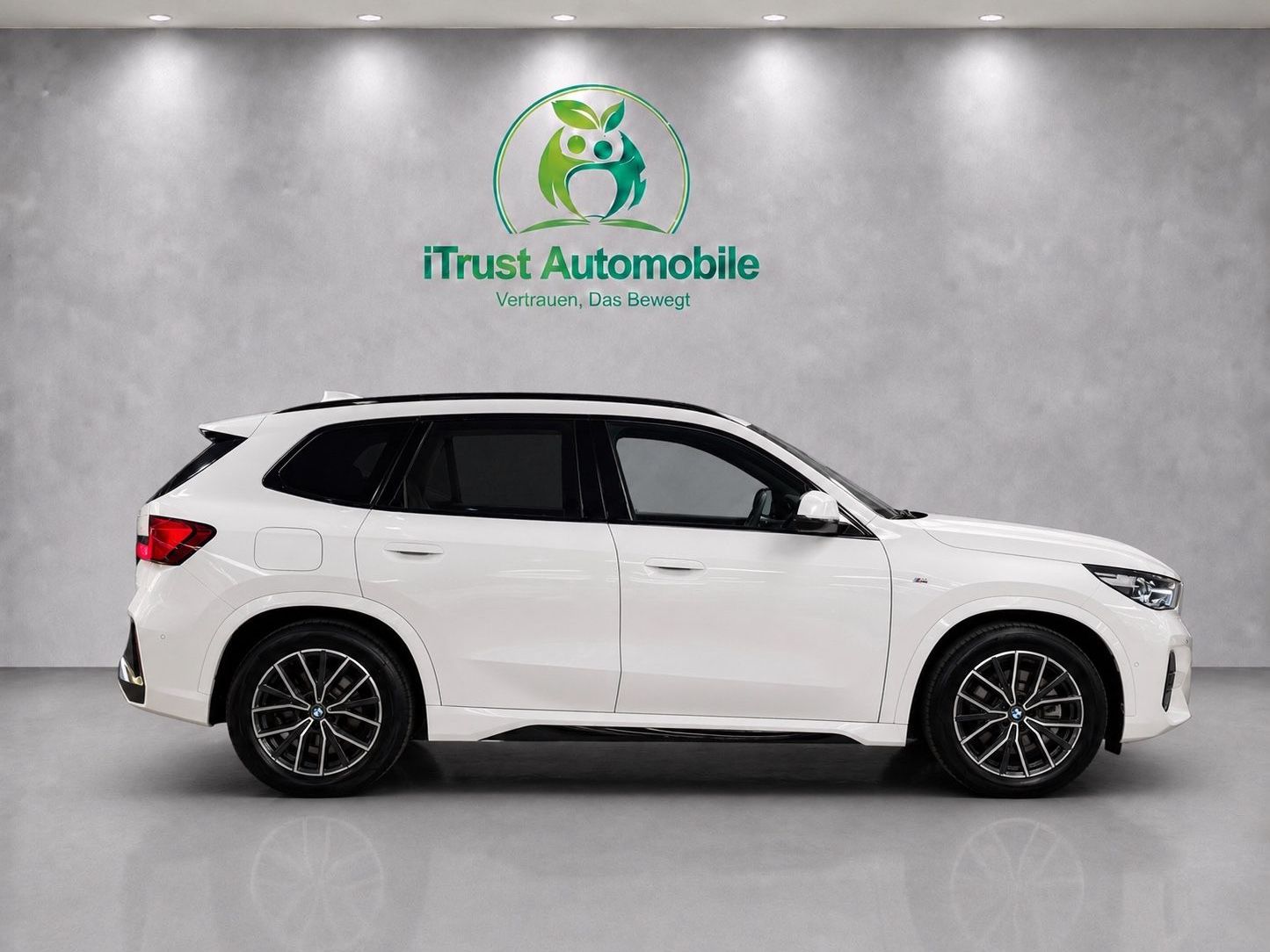 BMW X1 xDrive 23d M Sport LIC-PROF DA-PROF KAMERA foto 24
