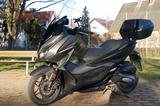 Honda Forza 125  Top Zustand, 1. Hand - Offers