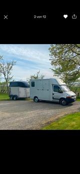 Renault Pferdetransporter Renault Master mit Theau... - gebrauchte Renault Master aus dem Jahr 2006