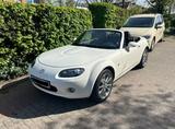 Mazda MX-5 Niseko 2.0 MZR Niseko - gebrauchte Mazda MX-5 aus dem Jahr 2008