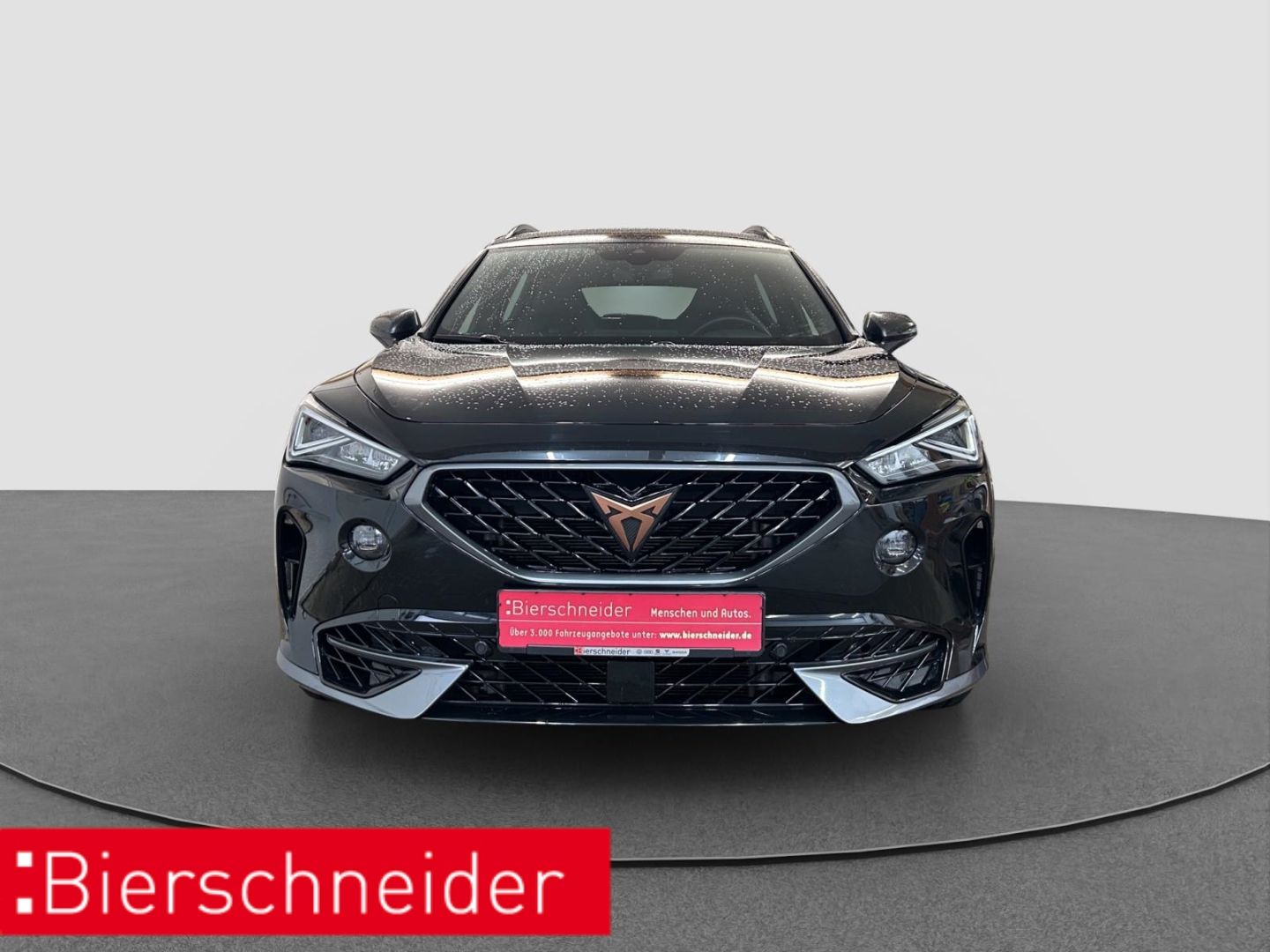 Cupra Formentor 2.0 TSI DSG 4Dr. VZ RFK BEATS DCC ACC imagem 2