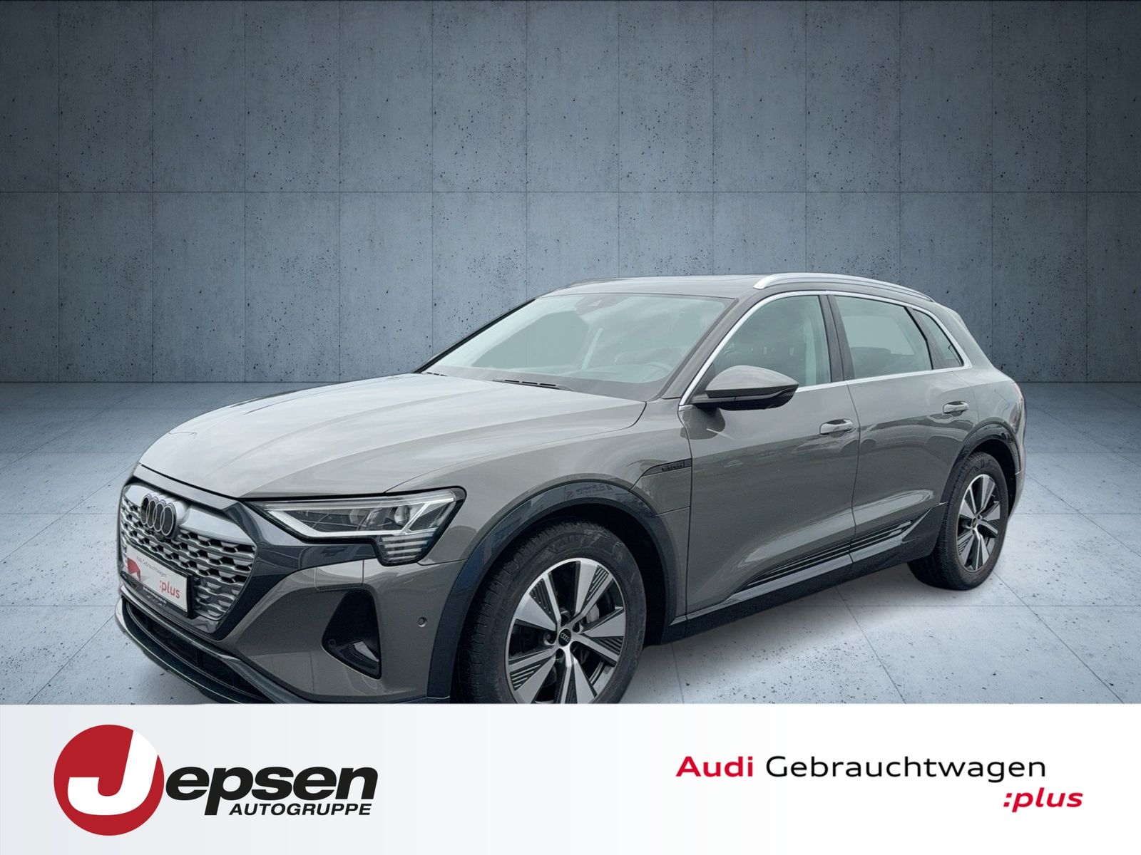 Audi Q8 e-tron advanced 50 qu. PANO HUD AHK Matrix 19