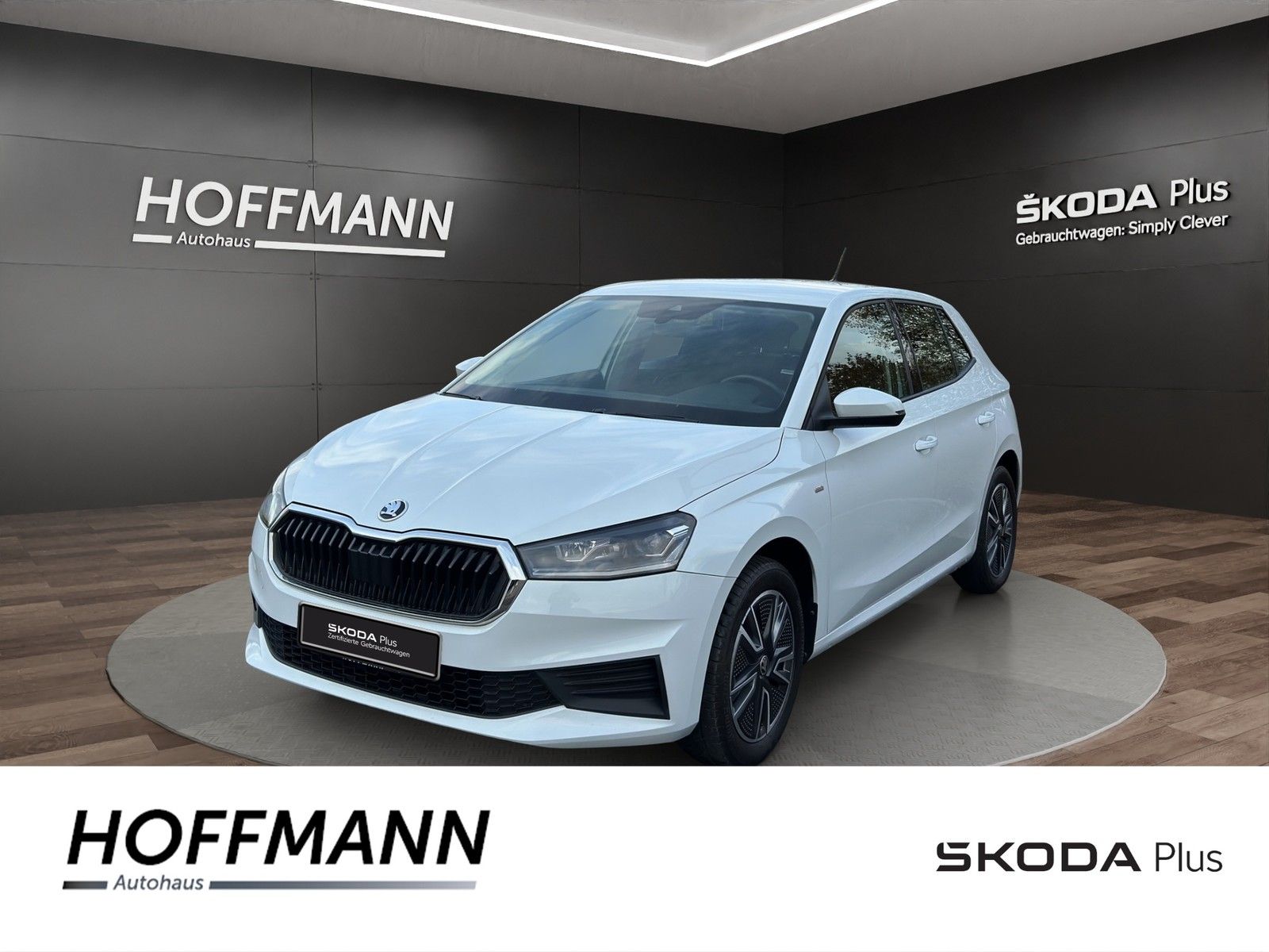 Fahrzeugbild von Skoda Fabia