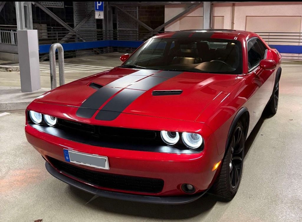 Image of Other Other