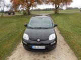 Fiat New Panda 1.2 EASY - Fiat New Panda Benziner Gebrauchtwagen