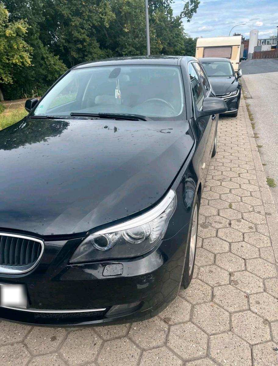 BMW 520 2010 — вигляд ззаду