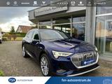 Audi e-tron 50 quattro S line AHK LUFT Head-up Kamera - Audi e-tron: Limousine