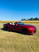 Ford Mustang 5.0 V8 GT Cabrio EU Modell 1.Hand  - Ford Mustang mit Benzin-Antrieb: Cabrio, 5.0
