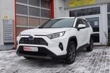 Toyota RAV 4 2.5 Hybr. Team Deutschl. 5 Jahre Garantie - gebrauchte Toyota RAV 4 aus dem Jahr 2024