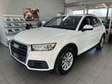 Audi Q5 35 TDI quattro Automatik|1.Hand|Bi-Xenon|PDC - Audi Q5 in Wuppertal